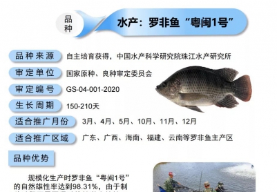 2021年广东省农业主导品种（水产篇）