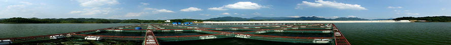 病害防治