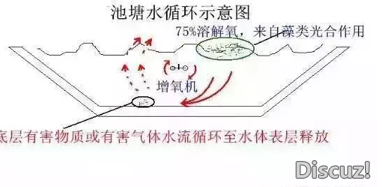 093410vssrobwfqw4po0b6.jpg