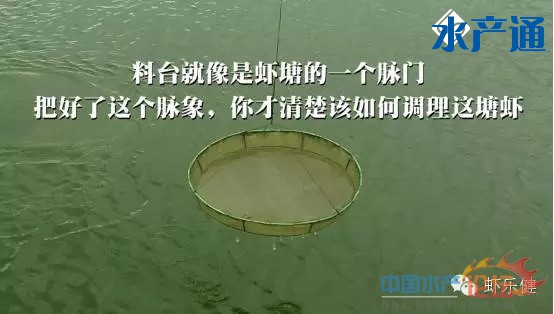 113555zkisvv8g3n9wkgun.jpg