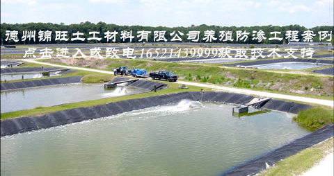 15538518191453_副本.jpg