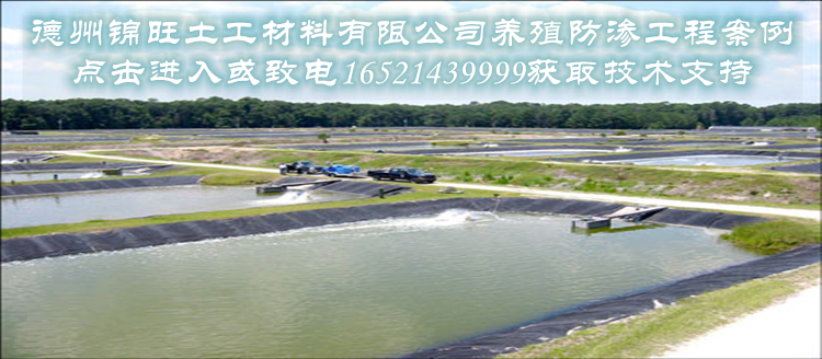 15538518191453_副本w.jpg