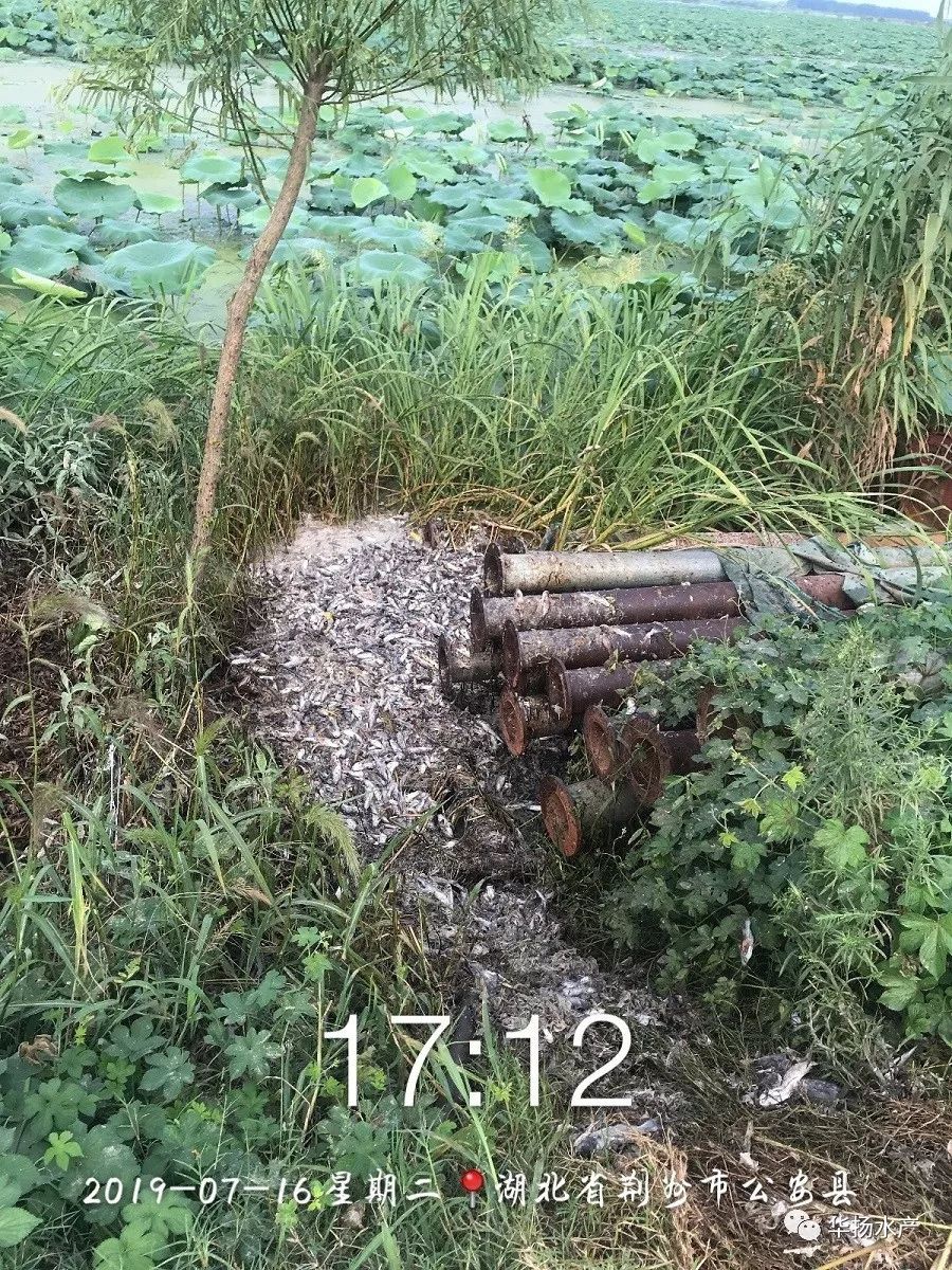 156405942823442_685.jpg