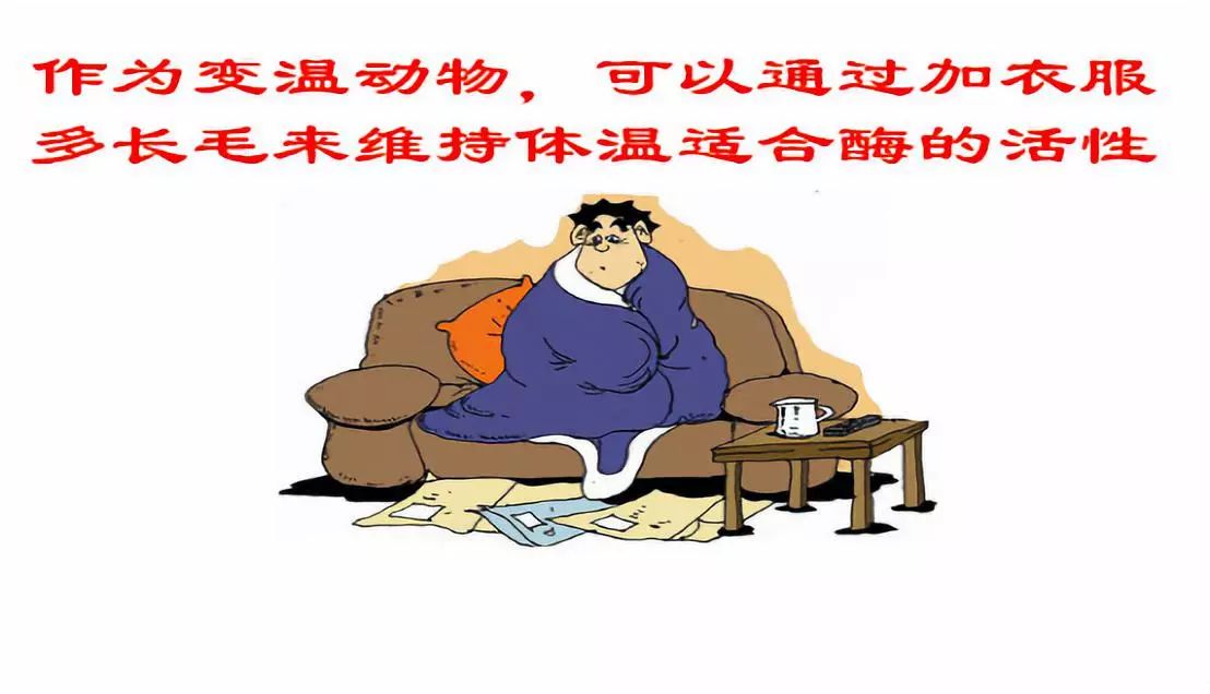 a2019101500552538.jpg