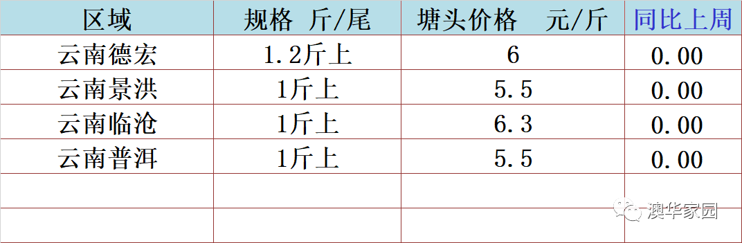 1568457644820361_484.jpg