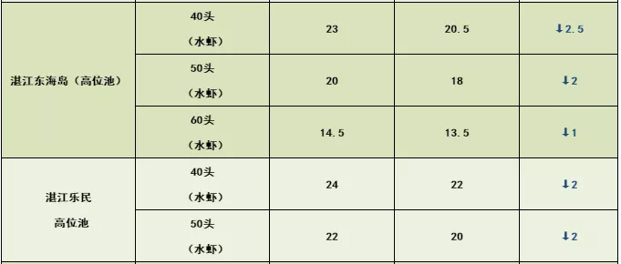 1576244832116959_778.jpg