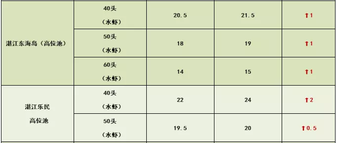 1577800315846123_889.jpg