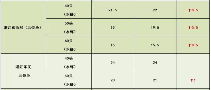 1578063413119846_593.jpg