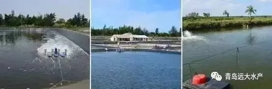 1582764149621985_805.jpg