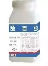 15905726222546_820.jpg