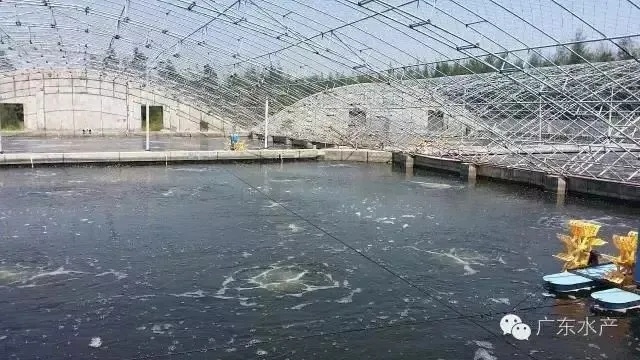1611051952165173_660.jpg