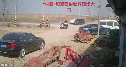 1611652313809645_134.png
