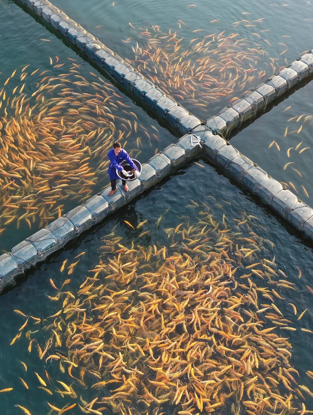 1611740575642405_295.png