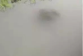 161478054606341_953.jpg