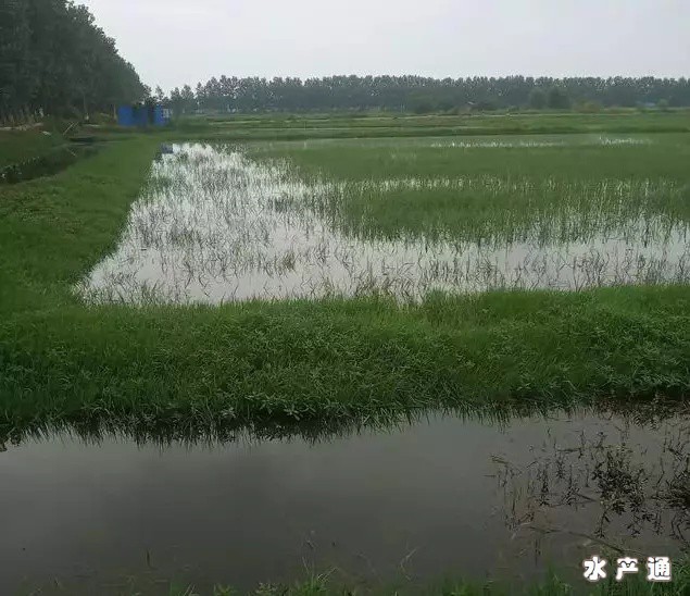 1614935282332842_510.png