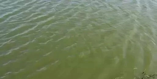 1615298251185333_398.jpg