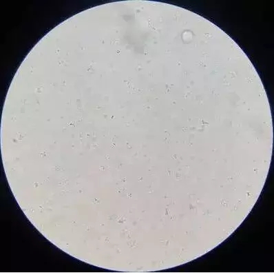 1615812521133780_679.jpg