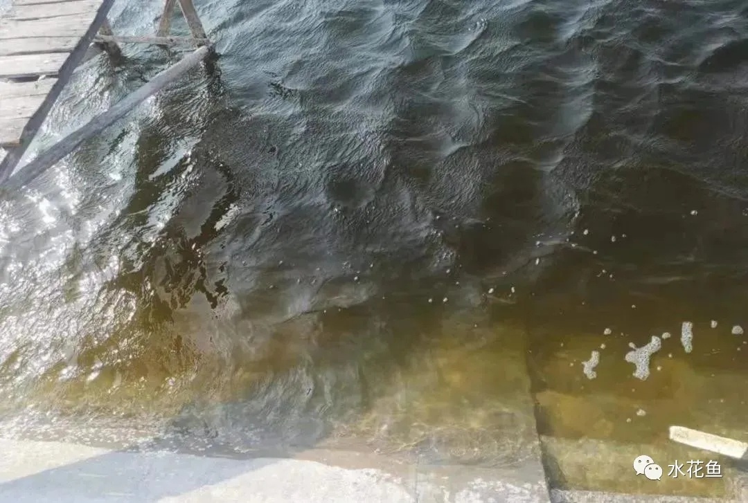 1616552302450910_332.jpg