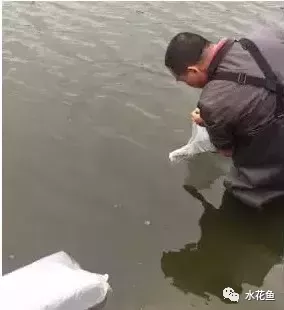 1616552365487596_825.jpg