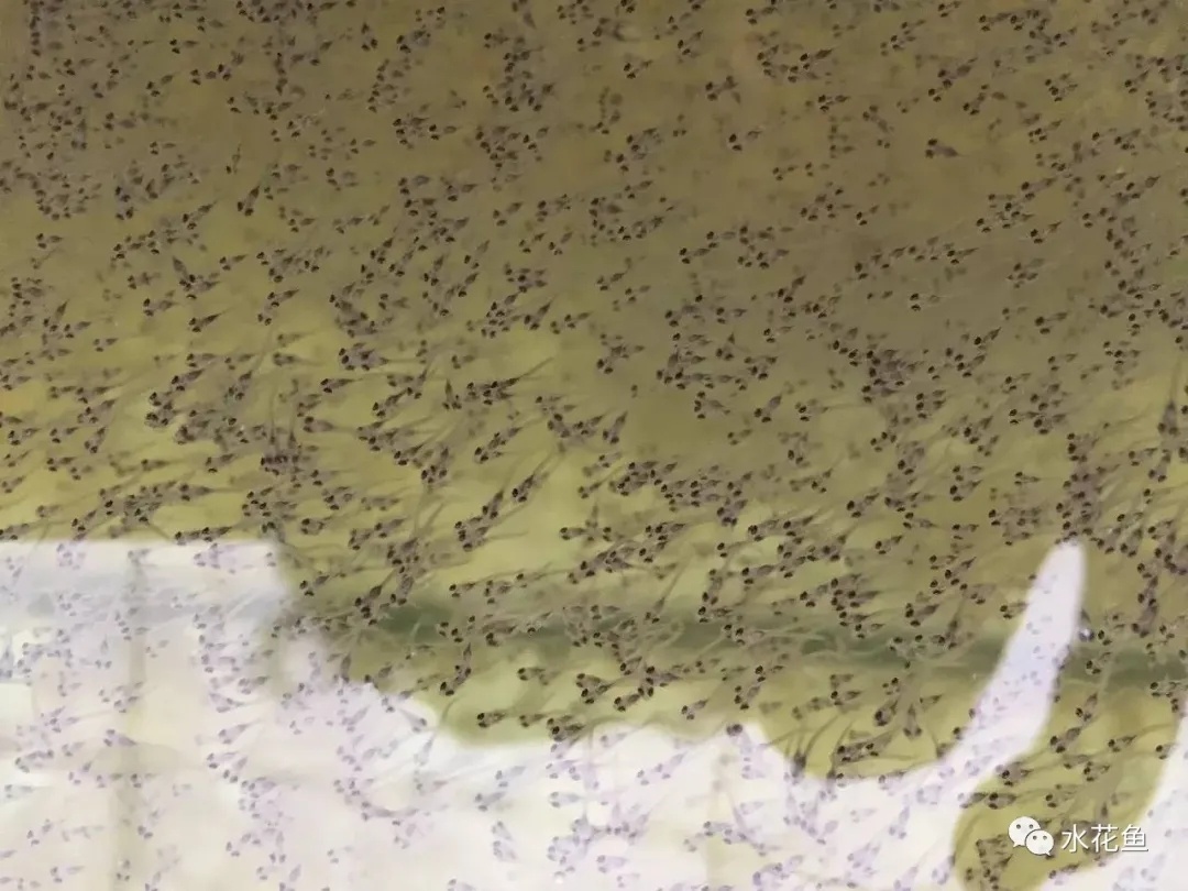 1616552526118881_390.jpg