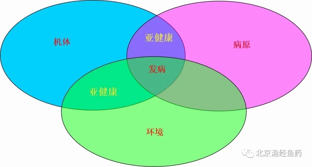 1616557415439743_425.jpg