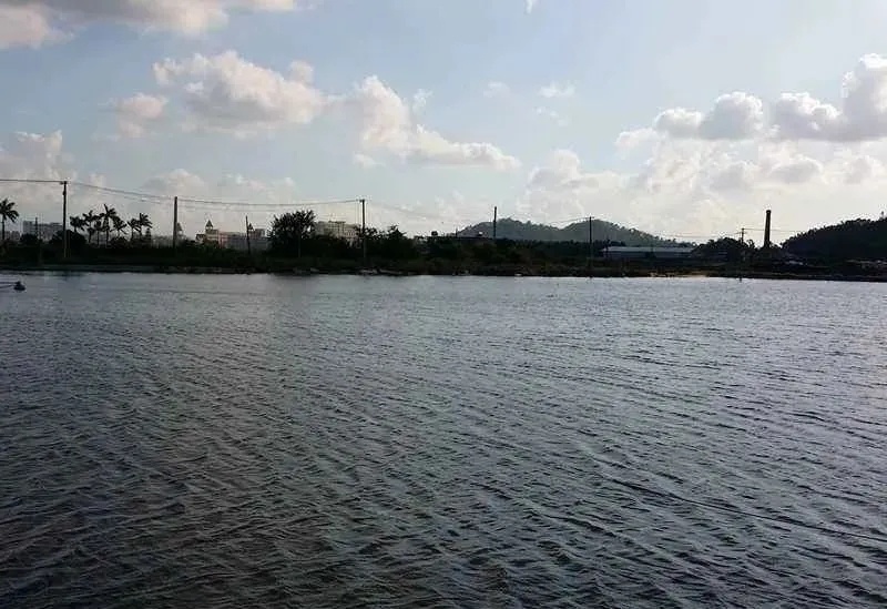 1617069083085503_196.jpg