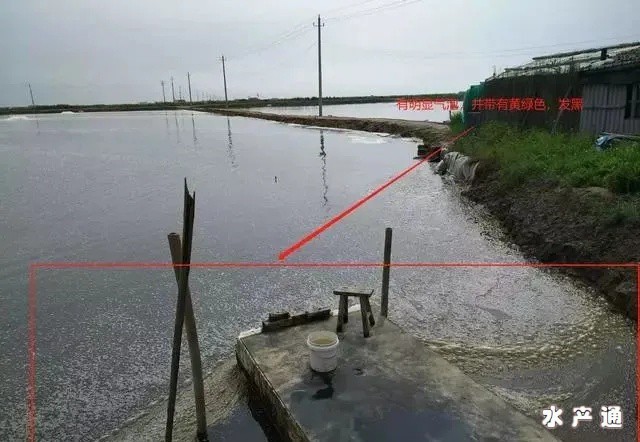 1617677667688771_235.jpg