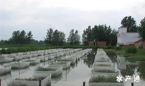 1617873684952130_245.jpg