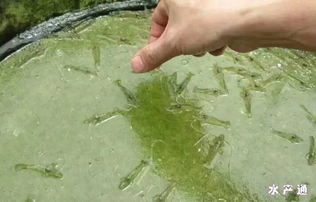 1618138866991331_816.jpg