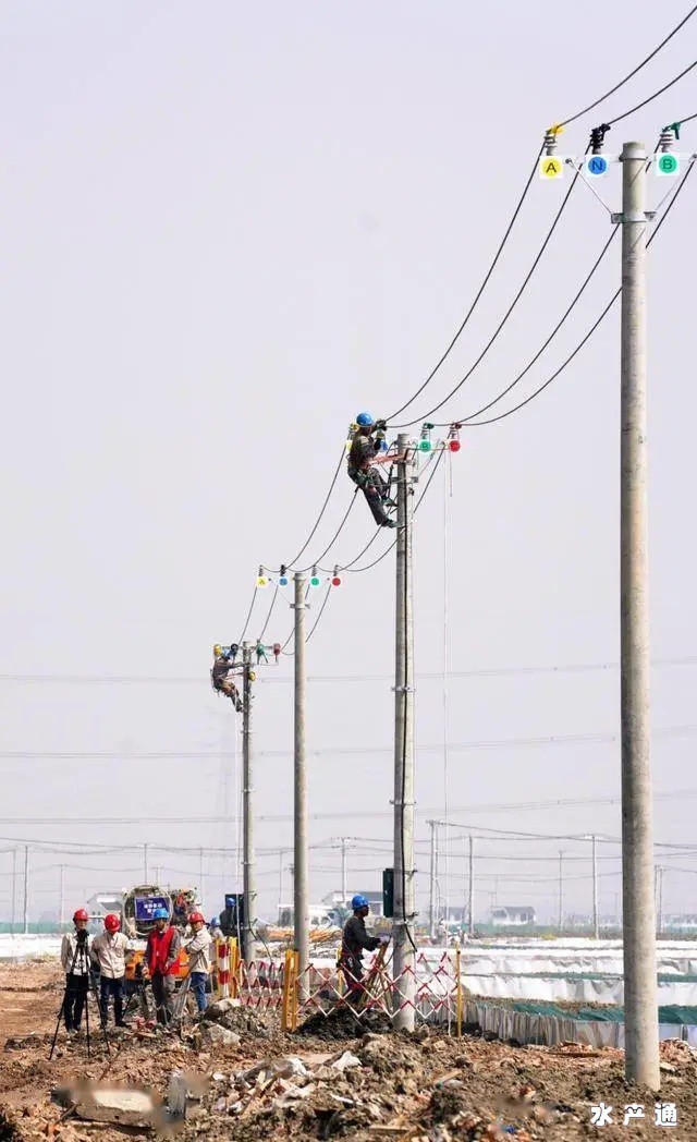 161819867310444_654.jpg