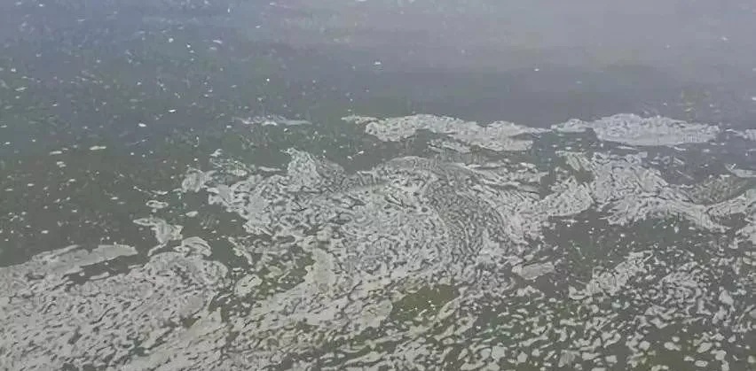 1618319010233563_321.jpg