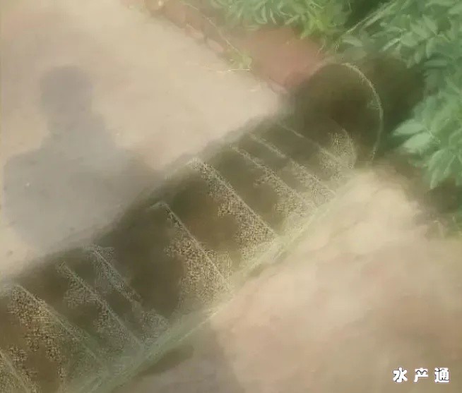 1618365133174755_760.png