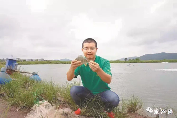 1618493717759969_490.png