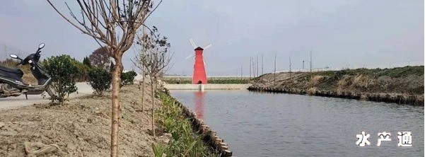 1618497107102984_925.jpg