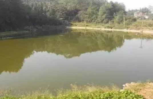 1618499744794584_97.png