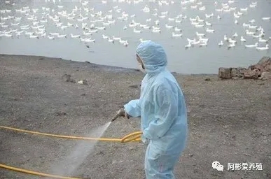 1618627914344666_978.jpg
