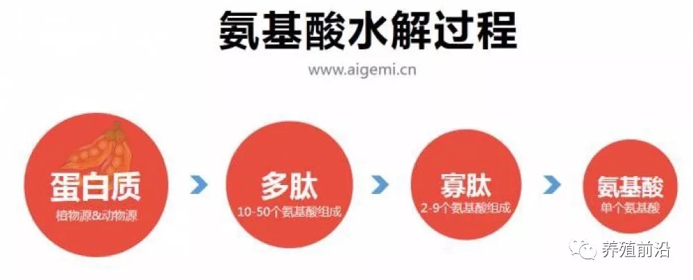 161875727764599_477.jpg