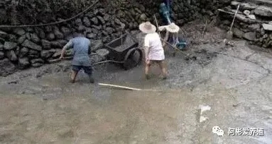 1619140897900224_986.jpg