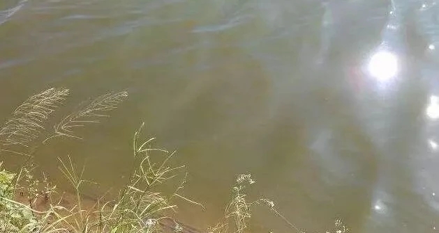 1619171091875750_414.jpg