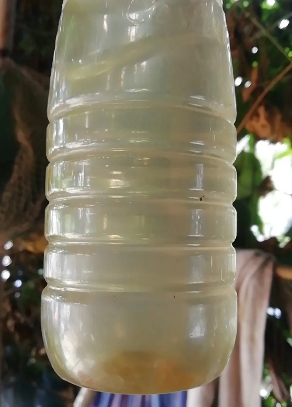 161917125324599_21.jpg