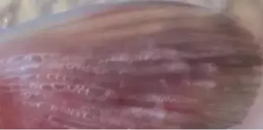 1619691396932627_128.jpg