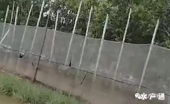 1619958876033733_616.png