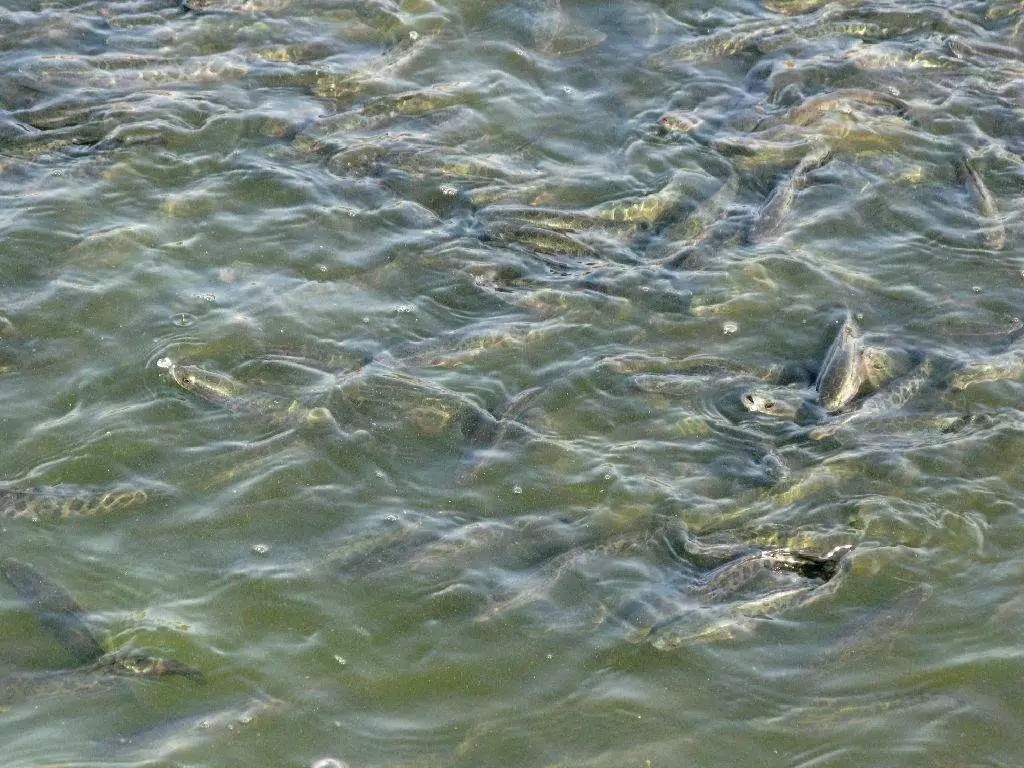 162012217859420_324.jpg