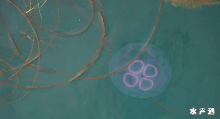 1620283642224894_30.jpg
