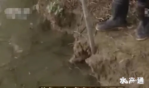 1620643995556978_32.jpg