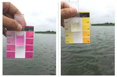 162064610504646_894.jpg