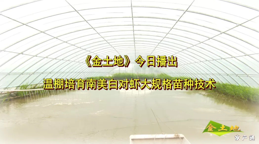 1620717329292781_914.png