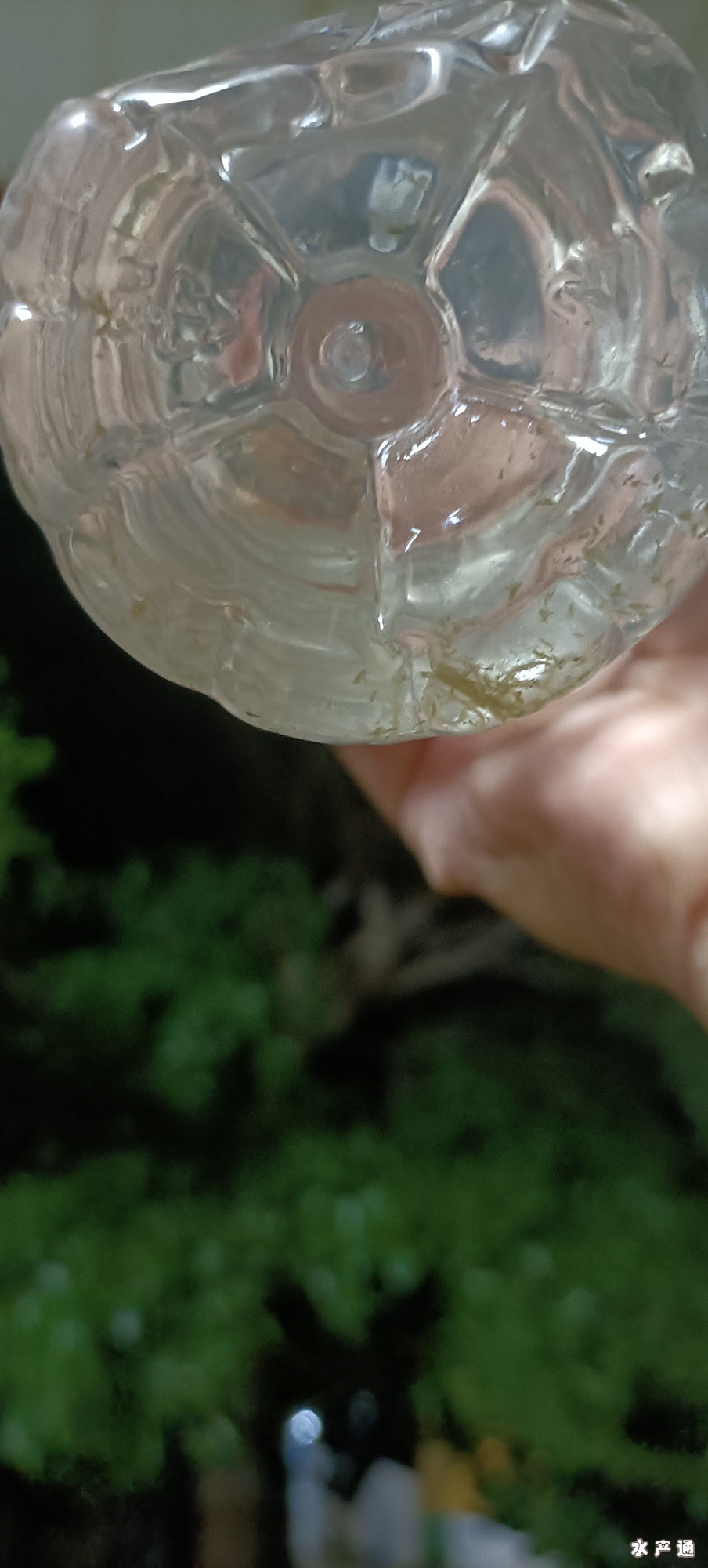 1620746380440794_235.jpg