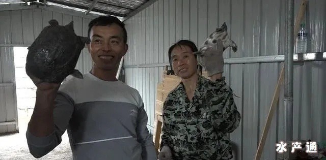 1620747528052798_288.jpg