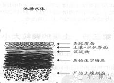 1620899293532329_184.jpg